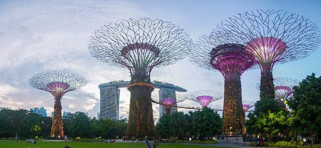 Gardens by the Bay – Outdoor Gardens — view 3.
